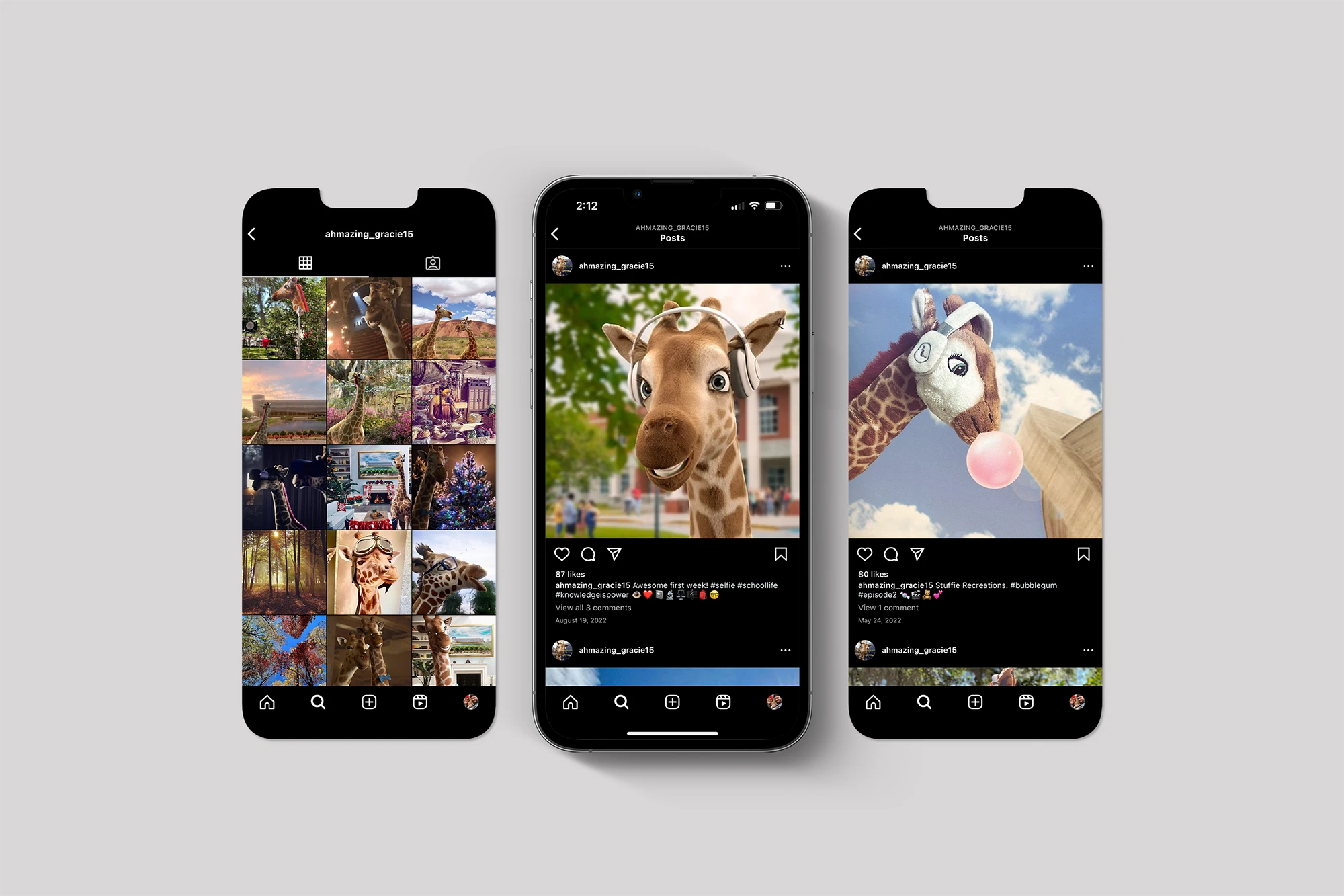 Social profiles of the Giraffes from The Ark Encounter